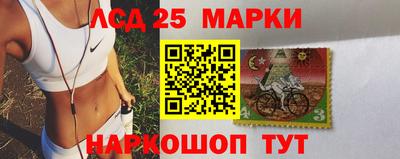 амф Камышлов