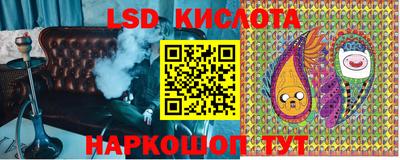 спайс Кандалакша