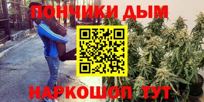 амф Камышлов