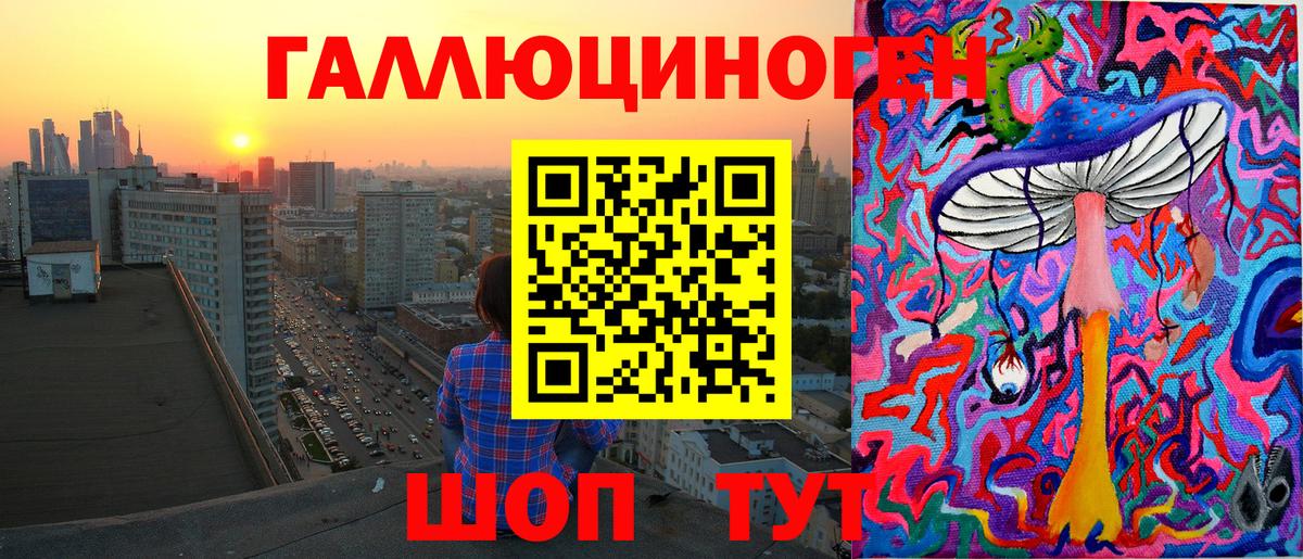 Галлюциногенные грибы Psilocybine cubensis Моршанск