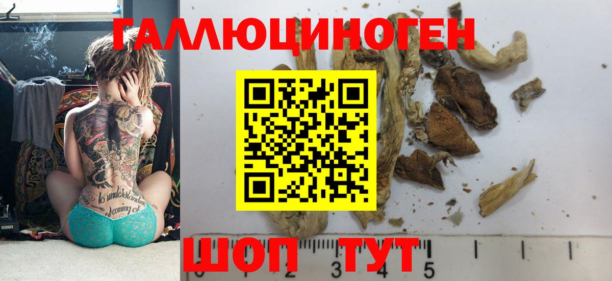 цена   Вход с VPN  Галлюциногенные грибы прущие грибы  Моршанск  Псилоцибиновые грибы ЛСД 